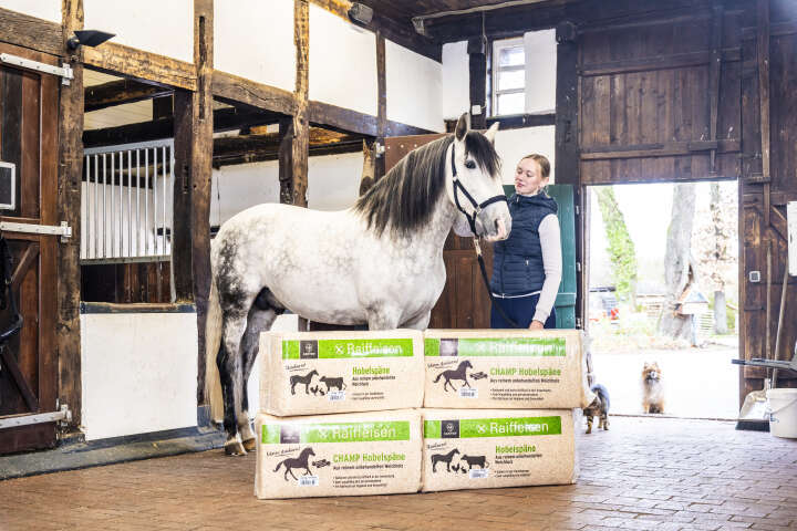 KANTRIE Hobelspäne Champ